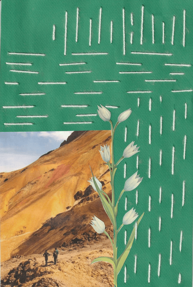Desert